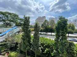 Blk 75 Whampoa Court (Toa Payoh), HDB 3 Rooms #524258711